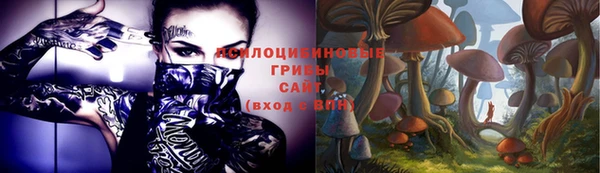 ГАЛЛЮЦИНОГЕННЫЕ ГРИБЫ Абдулино