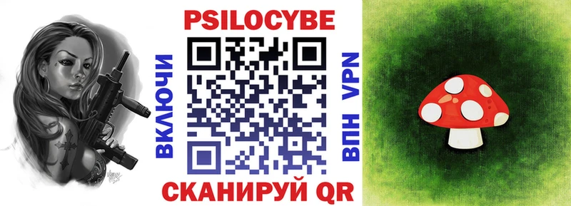 наркошоп  Яблоновский  Галлюциногенные грибы Cubensis 